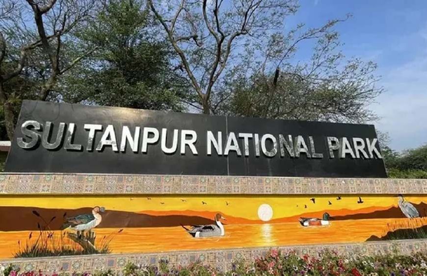 सुल्तानपुर राष्ट्रीय उद्यान में AI और ड्रोन से होगी पक्षियों की गिनती, पहली बार बनेगा डिजिटल रिकॉर्ड