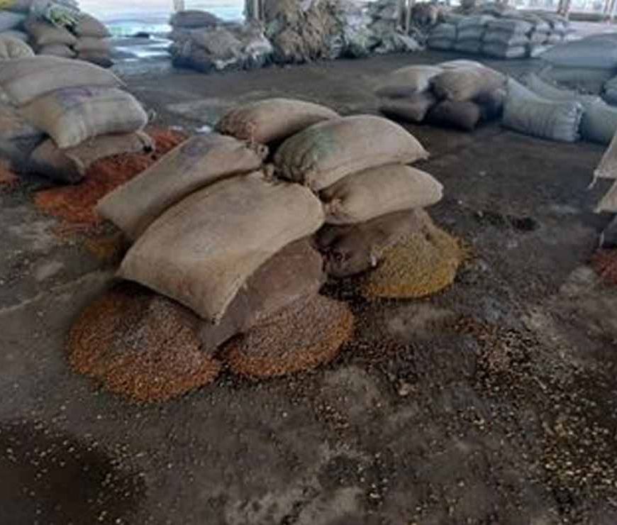 राजनांदगांव मंडी में जलभराव से हाहाकार, चबूतरों पर रखा धान भी भीगा