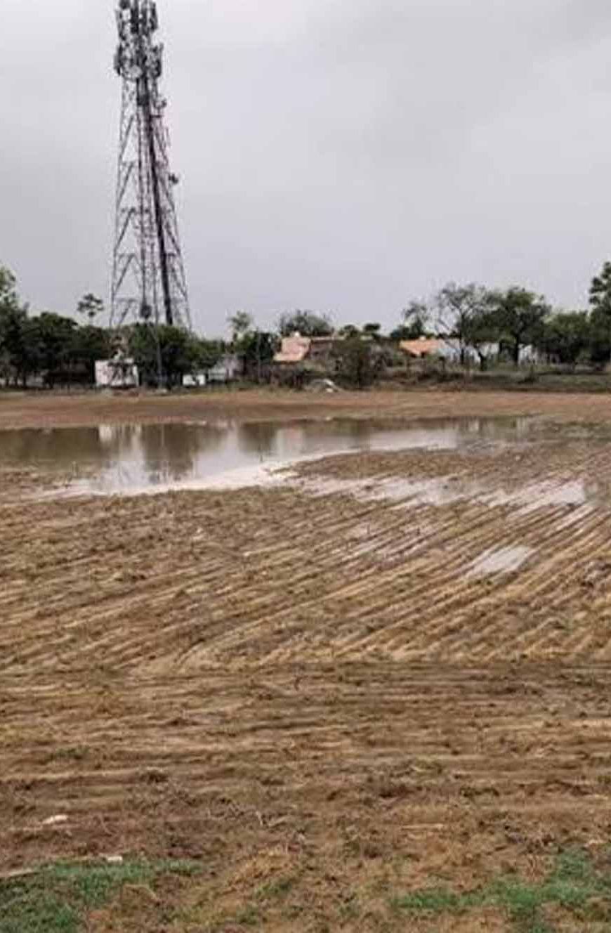 हरियाणा के 8 जिलों के किसानों को बड़ी राहत, धान रोपाई के लिए रोज 8 घंटे मिलेगी थ्री-फेज बिजली
