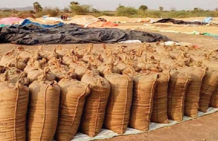 Bastar में उठाव नहीं होने से करोड़ों की धान सड़ी, किसानों की मेहनत पर फिरा पानी