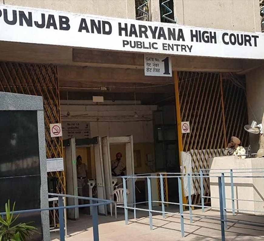 Punjab News: परियोजना बंद होने पर संविदा वैज्ञानिक की नौकरी खत्म, हाईकोर्ट ने बहाली से किया इनकार