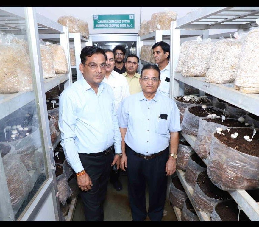 Naresh Kumar Goyal के उदयपुर दौरे में कृषि नवाचार, प्राकृतिक खेती और मशरूम उत्पादन को बढ़ावा देने पर जोर