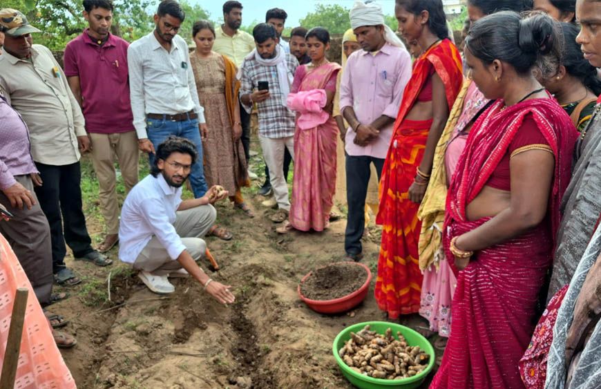 ​धमतरी का 'नगरी' बनेगा हल्दी उत्पादन का नया हब: 250 किसानों ने थामा वैज्ञानिक खेती का हाथ, 250 टन पैदावार का लक्ष्य