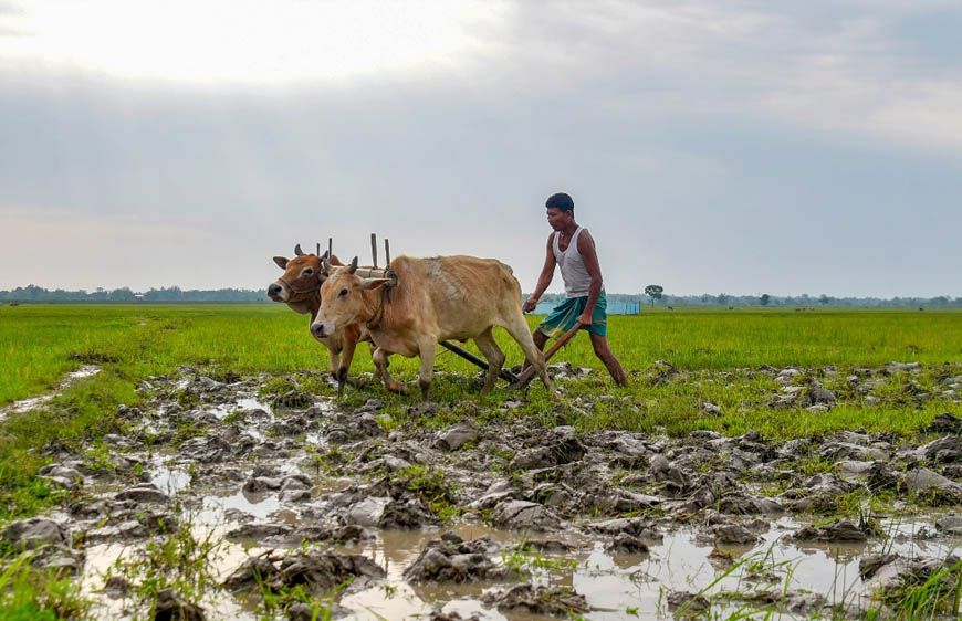 Al-Niño Effect: केरल में कमजोर पड़ा मानसून, 33% कम बारिश से किसानों की बढ़ी चिंता