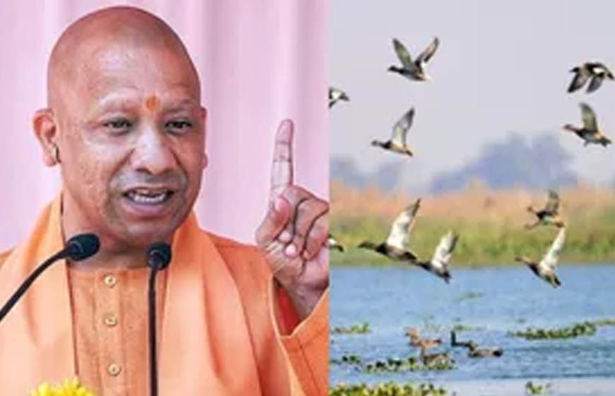 योगी सरकार के प्रयासों से उत्तर प्रदेश में तेजी से हो रहा आर्द्रभूमियों का संरक्षण