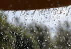 राजस्थान में मॉनसून की दस्तक, जयपुर-कोटा समेत कई जिलों में भारी बारिश का अलर्ट