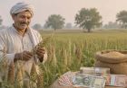 हरियाणा में ज्वार-बाजरा किसानों को बड़ा तोहफा, पोषक-अनाज योजना से मिलेगा अनुदान