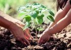 एक पेड़ मां के नाम 3.0' से हरित चेतना को मिलेगा नया विस्तार, जुलाई में विद्यालयों में पर्यावरण संरक्षण का महाअभियान