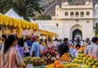 पिंजौर के यादविन्द्रा गार्डन में 10 से 12 जुलाई तक सजेगा 33वां मैंगो मेला