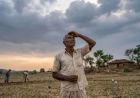 बिहार में कम बारिश का अलर्ट, कृषि वैज्ञानिकों ने किसानों को दी सूखा-रोधी खेती की सलाह