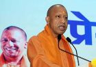 योगी सरकार की बागवानी योजना से किसानों की बढ़ रही आय, आधुनिक खेती को मिल रहा बढ़ावा