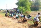 Chandigarh News: ग्रीनरी बढ़ाने की मुहिम, विद्यार्थियों और स्वयंसेवकों ने लगाए 5,000 पौधे