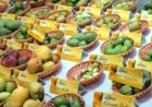 Panchkula Mango Mela: 400 से ज्यादा किस्मों के आम का लें स्वाद, फलों के शौकीनों के लिए खास मौका