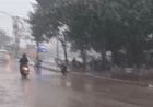 Punjab Weather: 4 जिलों से मानसूनी बादल गायब, मोहाली-जालंधर में झमाझम बारिश, नहर में डूबे 2 लड़के