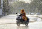 MP Weather Update: 22 जिलों में आज बूंदाबांदी के आसार, 16 जुलाई से एक्टिव होगा नया सिस्टम, फिर होगी भारी बारिश