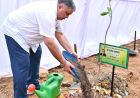 "एक पेड़ माँ के नाम" अभियान के तहत  मंत्री  राजेश अग्रवाल ने नवीन विधानसभा परिसर में लगाया पौधा