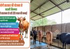 योगी सरकार की योजना से बदली किस्मत, डेयरी से सालाना हो रही 20 लाख की कमाई