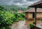 झारखंड में फिर सक्रिय होगा मॉनसून, 28 जुलाई तक भारी बारिश का अलर्ट जारी