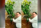 अधिमान्य पत्रकार नेतृत्व समिति के प्रदेश अध्यक्ष प्रीतम वर्मन ने लगाया एक वृक्ष