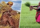 बिहार में बढ़ी महिला किसानों की ताकत, 89 लाख का आंकड़ा पार