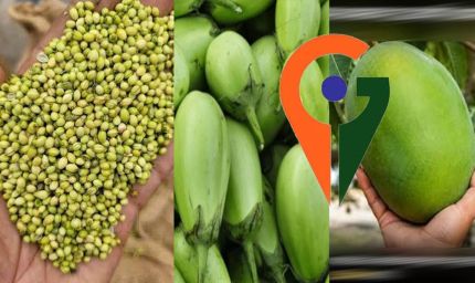 देश में पहली बार एक साथ 12 उद्यानिकी फसलों को म‍िला जी आई टैग