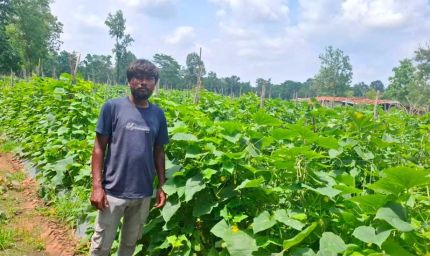 उद्यानिकी विभाग की योजना से बदली कमार कृषक की तकदीर