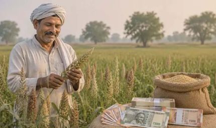 हरियाणा में ज्वार-बाजरा किसानों को बड़ा तोहफा, पोषक-अनाज योजना से मिलेगा अनुदान