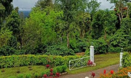 प्राकृतिक सौंदर्य, कॉफी बागानों और जनजातीय संस्कृति की अनूठी पहचान है बैतूल का कुकरू खामला