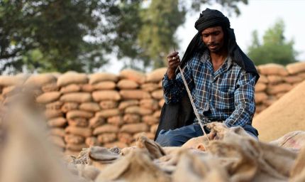 रोजगार में लुधियाना नंबर-1, श्रमिक अनुपात में दिल्ली-फरीदाबाद को छोड़ा पीछे; 63% नियमित वेतनभोगी