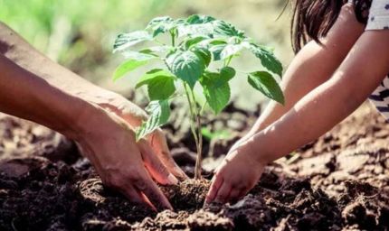 एक पेड़ मां के नाम 3.0' से हरित चेतना को मिलेगा नया विस्तार, जुलाई में विद्यालयों में पर्यावरण संरक्षण का महाअभियान