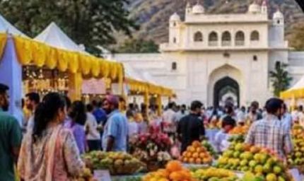 पिंजौर के यादविन्द्रा गार्डन में 10 से 12 जुलाई तक सजेगा 33वां मैंगो मेला