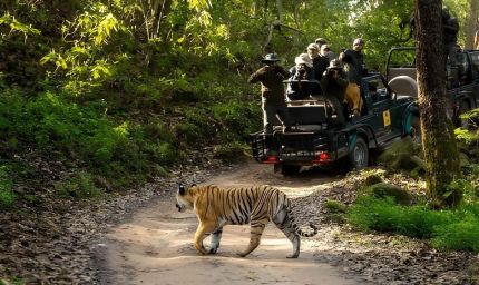 वन, वन्यजीव और पर्यावरण कानूनों के प्रभावी क्रियान्वयन के लिए न्यायिक एवं प्रशासनिक समन्वय ज़रूरी