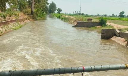 भाखड़ा नहरों ने बदली हरियाणा की तकदीर, सूखे खेतों से बना देश का कृषि पावरहाउस
