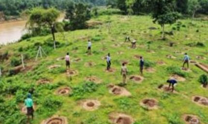 योगी सरकार 13 प्रमुख नदियों के तट क्षेत्र पर रोपेगी 3.83 करोड़ से अधिक पौधे