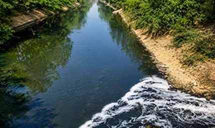 नजफगढ़ ड्रेन का गंदा पानी साफ करने को सरकार बनाएगी 29 नए डीएसटीपी प्लांट जल्द