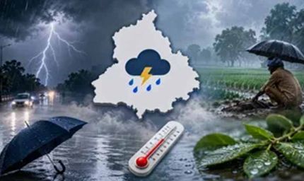 Punjab Weather: उत्तर और मध्य जिलों में 4 दिन बारिश का अलर्ट, दक्षिण-पश्चिम में उमस करेगी परेशान