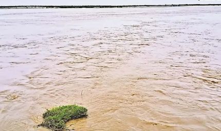 नेपाल की बारिश से उफनी गंडक, वाल्मीकीनगर बराज से बढ़ाया गया पानी का डिस्चार्ज