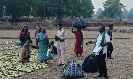 तेन्दूपत्ता संग्राहकों के खातों में पहुंचने लगी बोनस राशि