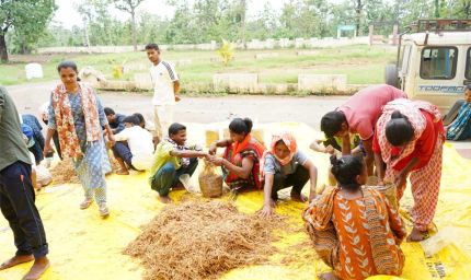 सुकमा में मशरूम उत्पादन का प्रशिक्षण बना आत्मनिर्भरता की नई राह