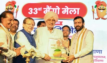 पंचकूला आम मेले में दिखा आम का जलवा, 200 से ज्यादा किस्मों ने लुभाया लोगों को