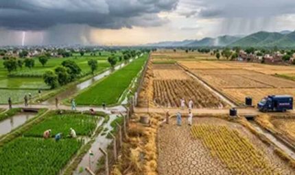 23% कम बारिश के साथ रेड जोन में पंजाब, कल से फिर कमजोर पड़ेगा मानसून
