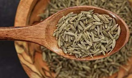 FSSAI की छापेमारी में पकड़ी गई केमिकल वाली सौंफ, ऐसे करें पहचान