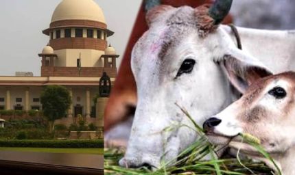 तमिलनाडु में गौहत्या मामले पर सुप्रीम कोर्ट का बड़ा फैसला, HC के आदेश पर रोक हटाई, राज्य सरकार को राहत