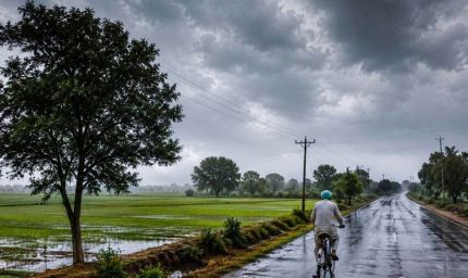 Punjab Weather: प्री-मानसून की बेरुखी के बाद जुलाई भी फीकी, उमस और बिजली खपत ने बढ़ाई मुश्किलें
