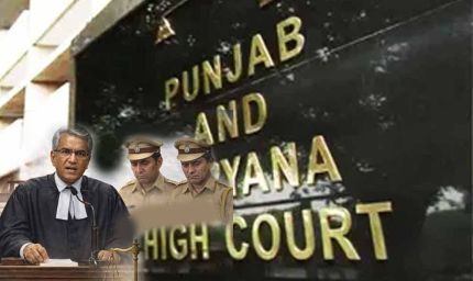 पंजाब-हरियाणा हाईकोर्ट का बड़ा फैसला, अनुमान या संदेह के आधार पर अधिकारियों पर टिप्पणी नहीं
