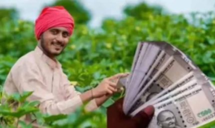 MSP का लाभ लेने के लिए 31 जुलाई तक करें 'मेरी फसल-मेरा ब्योरा' पोर्टल पर पंजीकरण