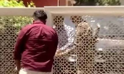 फिरोजपुर में प्रॉपर्टी डीलर के घर ED की बड़ी कार्रवाई, सुबह से बंद दरवाजों के भीतर चल रही रेड