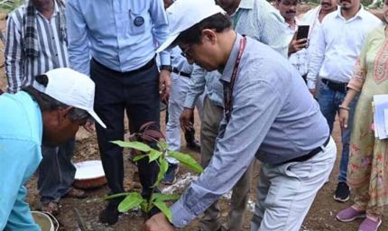 बिलासपुर में केंद्रीय टीम ने वीबी-जीरामजी योजना और जल संरक्षण कार्यों का किया निरीक्षण
