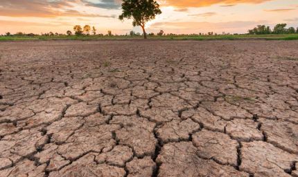 MP Weather: 33 जिलों में सामान्य से कम बारिश, किसानों की बढ़ी चिंता; फिलहाल भारी बारिश के संकेत नहीं