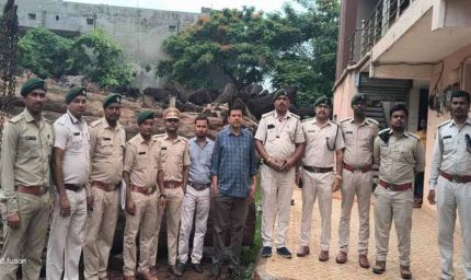 कोरबा में 206 साल के पेड़ों की लकड़ी बरामद, आरोपी गिरफ्तार, आरा मिल सील